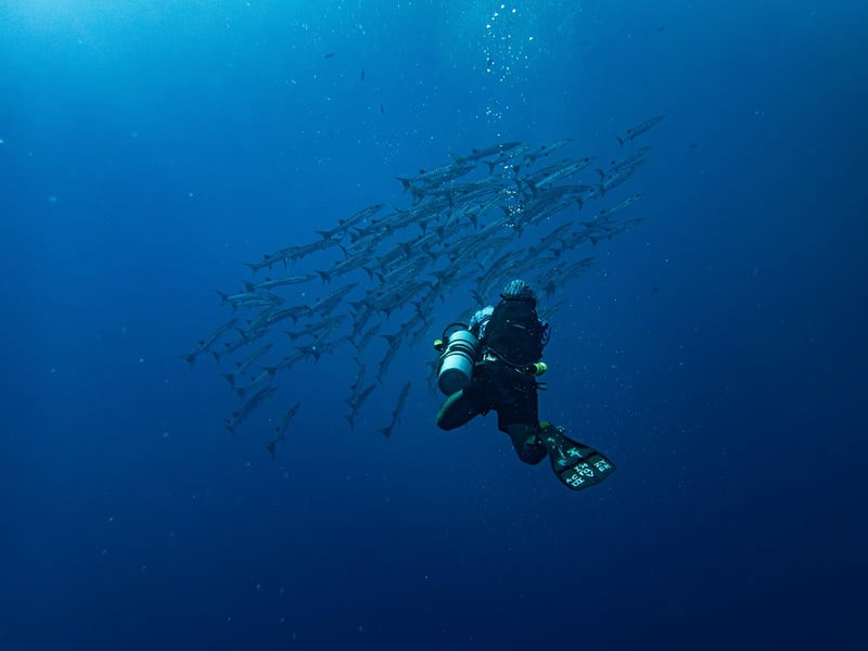 Diver Exploring Underwater